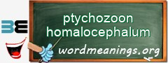 WordMeaning blackboard for ptychozoon homalocephalum
